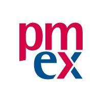 pmexperts (pmi® atp) project management