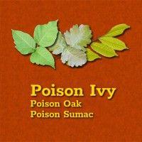 poison ivy