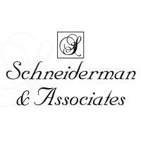 schneiderman & associates logo image