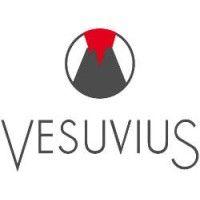 vesuvius india & south east asia logo image