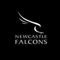 newcastle falcons rugby club logo image