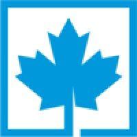 blue maple logo image