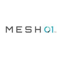 mesh01 logo image