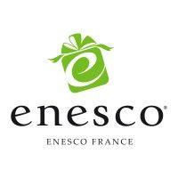 enesco france logo image