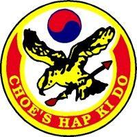 choes hapkido martial arts logo image