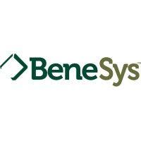 benesys, inc. logo image