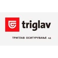 triglav insurance company ltd. logo image