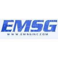 electronic manufacturing services group, inc