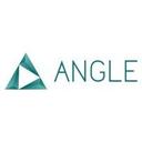 logo of Angle Agency