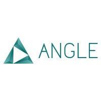 angle agency logo image