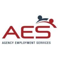 agency employment services logo image