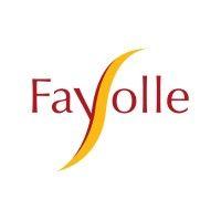 fayolle logo image