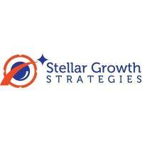 stellar growth strategies, llc logo image