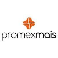 promex group brazil logo image