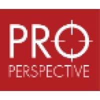 pro-perspective logo image