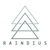 raindius media logo image