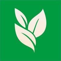 evergreen logo image