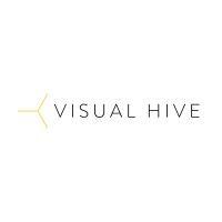 visual hive logo image