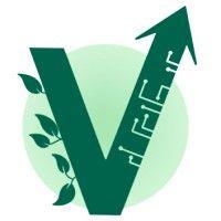 valis logo image