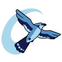 astrojays - the johns hopkins rocketry team logo image