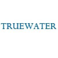 truewater - it for business logo image