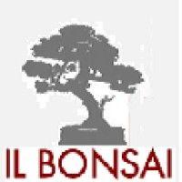 il bonsai b&b logo image