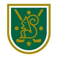 brook hollow golf club logo image