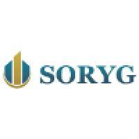 soryg international gmbh logo image