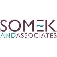 somek & associates logo image