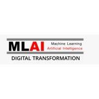 mlai digital private ltd. logo image