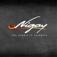 nigay logo image