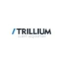 logo of Trillium Interactive Online Marketing