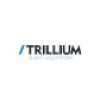 trillium interactive - online marketing logo image