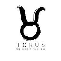 torus motorsport logo image