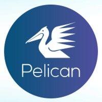 pelican telecom pvt. ltd. logo image