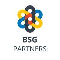 bsg partners logo image