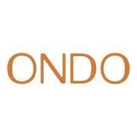 ondo systems, inc. logo image