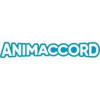 animaccord logo image