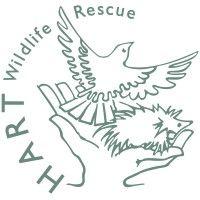 hart wildlife rescue logo image