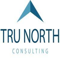 tru north consulting group