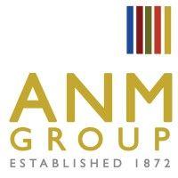 anm group logo image