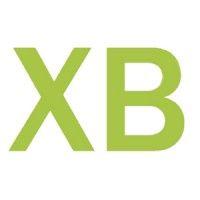 xbinsight, inc. logo image