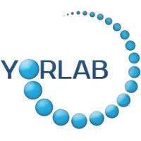 yorlab logo image