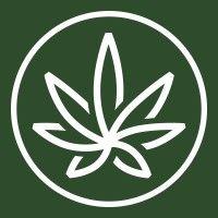 department of cannabis control logo image