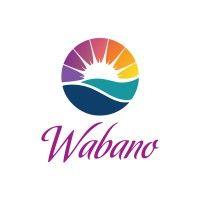 wabano centre for aboriginal health