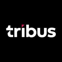 tribus