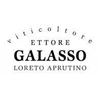 ettore galasso logo image