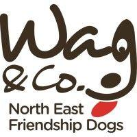 wag and company north east friendship dogs ltd