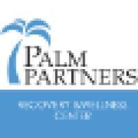 palm partners, llc logo image