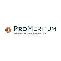 promeritum investment management llp logo image